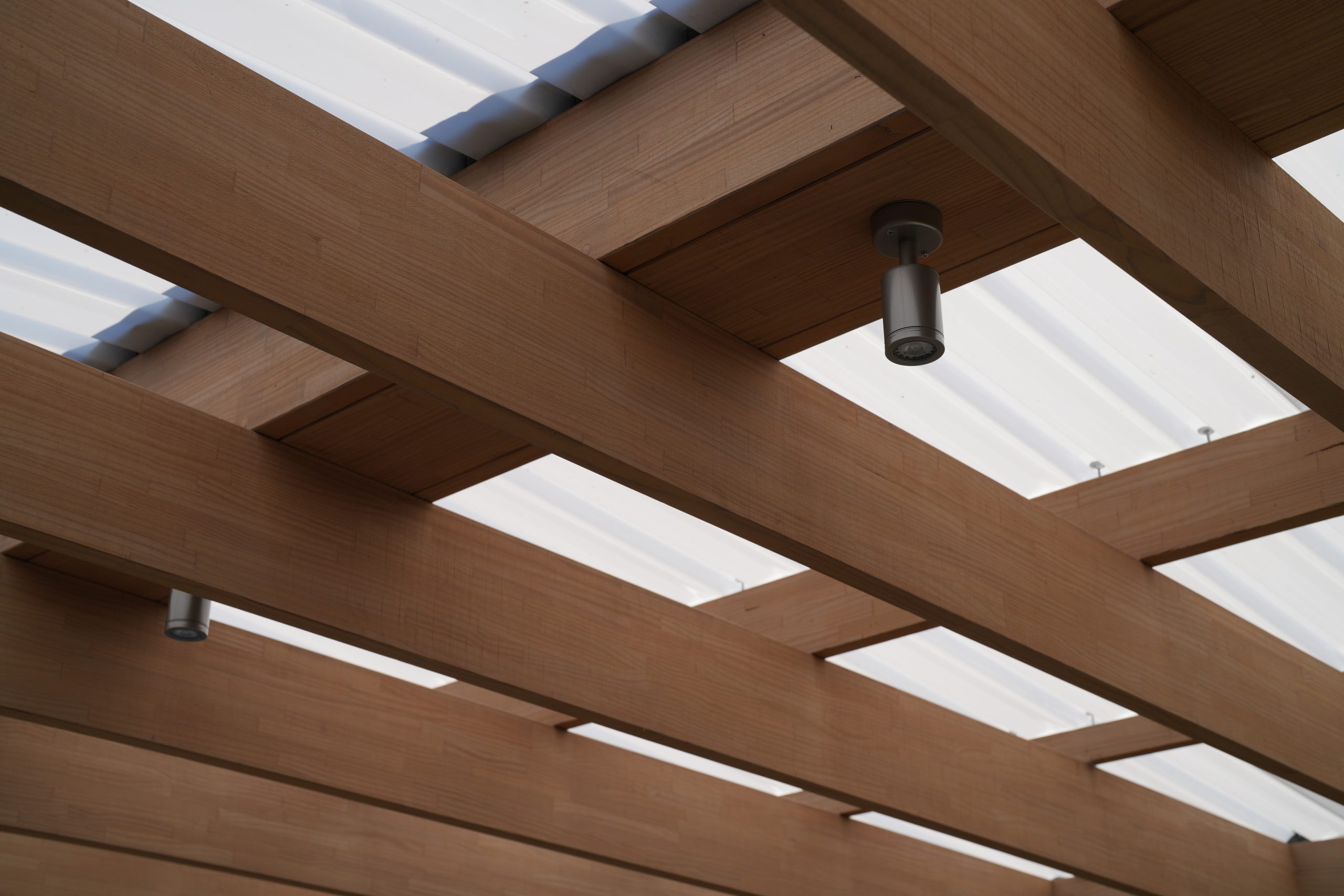 Close-up of timber pergola beams under translucent roof sheeting at the Gwelup renovation by Skytree Homes
